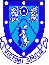 Rugby badge